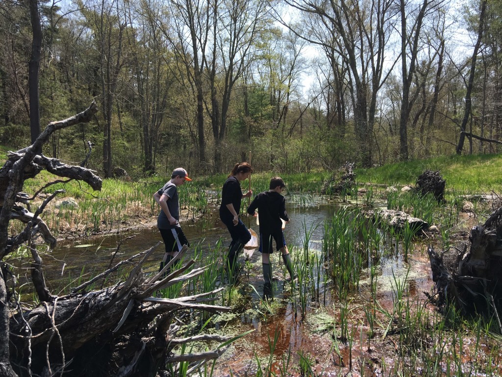 water quality testing 6