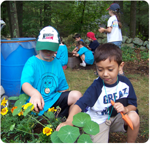 boys-in-garden