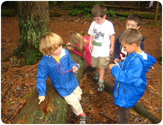 preschool-kids-in-woods
