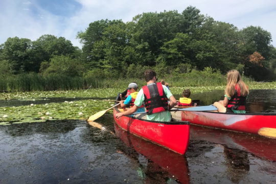 Summer Camp - South Shore YMCA Natural Science Center